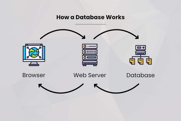 How WordPress Database Works